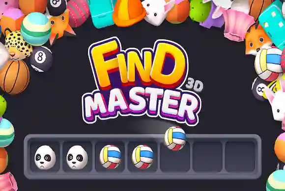 Find Master 3D